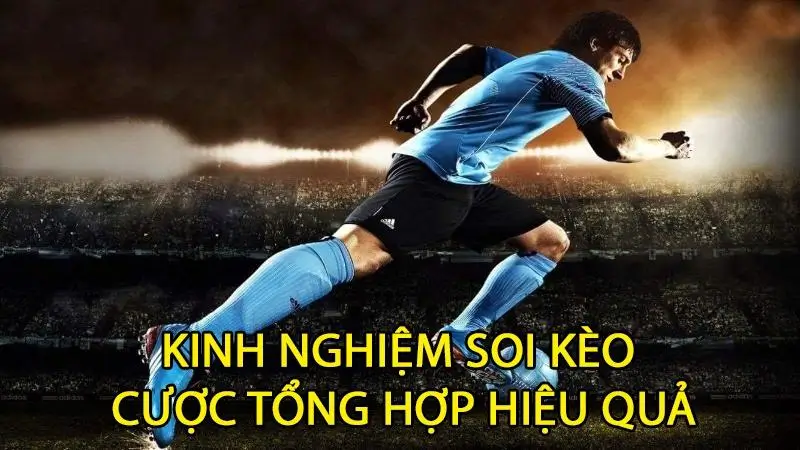 Kinh nghiệm soi kèo cược tổng hợp tại dafabet